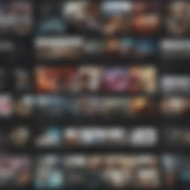 Collage of diverse video content created with Adobe Premiere Rush