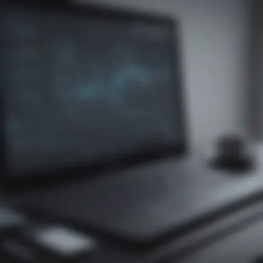 Visual representation of data entry software interface