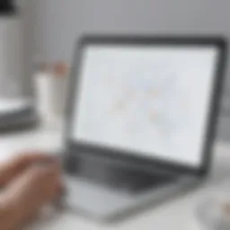 Overview of delivery routing software interface