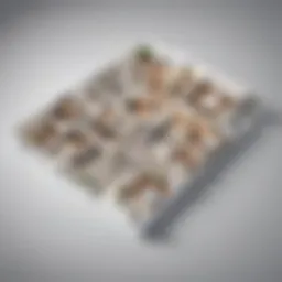 Digital floorplan created using innovative software