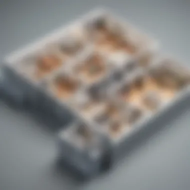 Diverse Layout Options Diverse layout options for business spaces