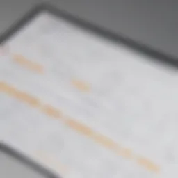 Dynamic calendar interface showcasing TickTick features