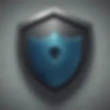 Security shield representing password protection